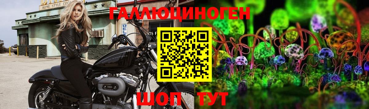 Галлюциногенные грибы Psilocybine cubensis Асино