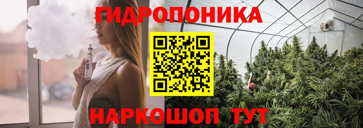 Марихуана сатива Асино